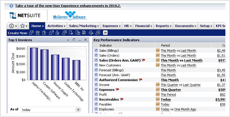 Key Benefits of SuiteAnalytics 