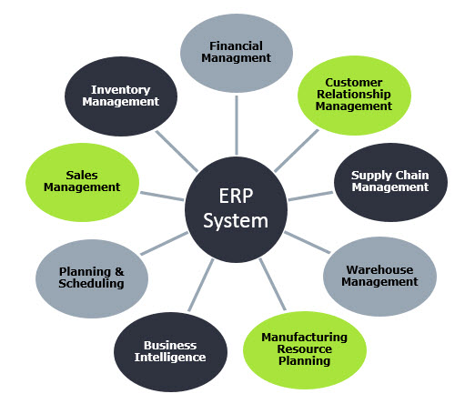 How Do ERP Software Work?