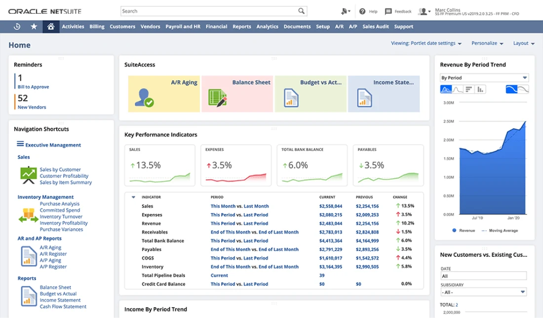 NetSuite ERP System