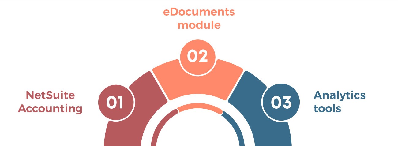 NetSuite for Specific Government functions