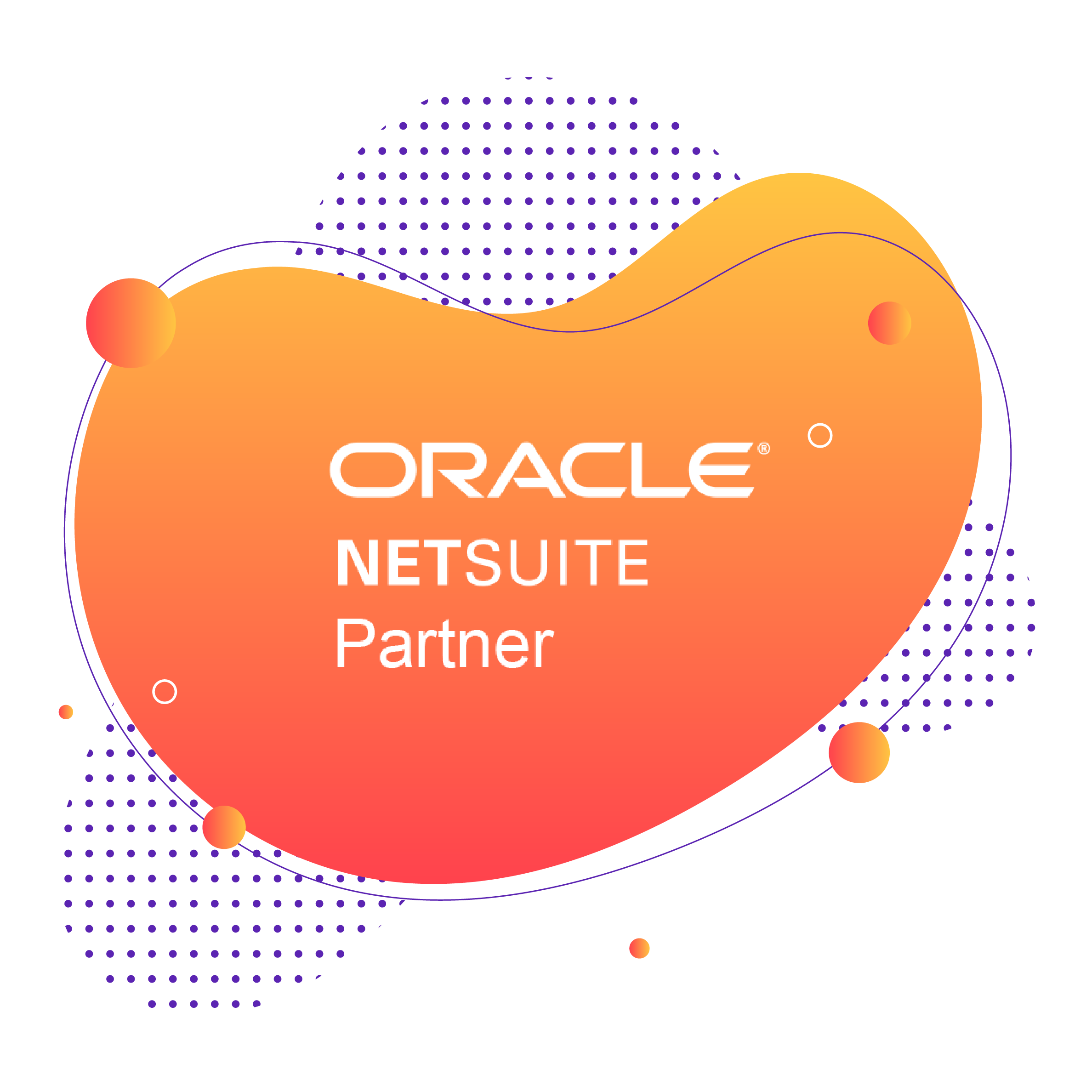 VNMT NetSuite Partner