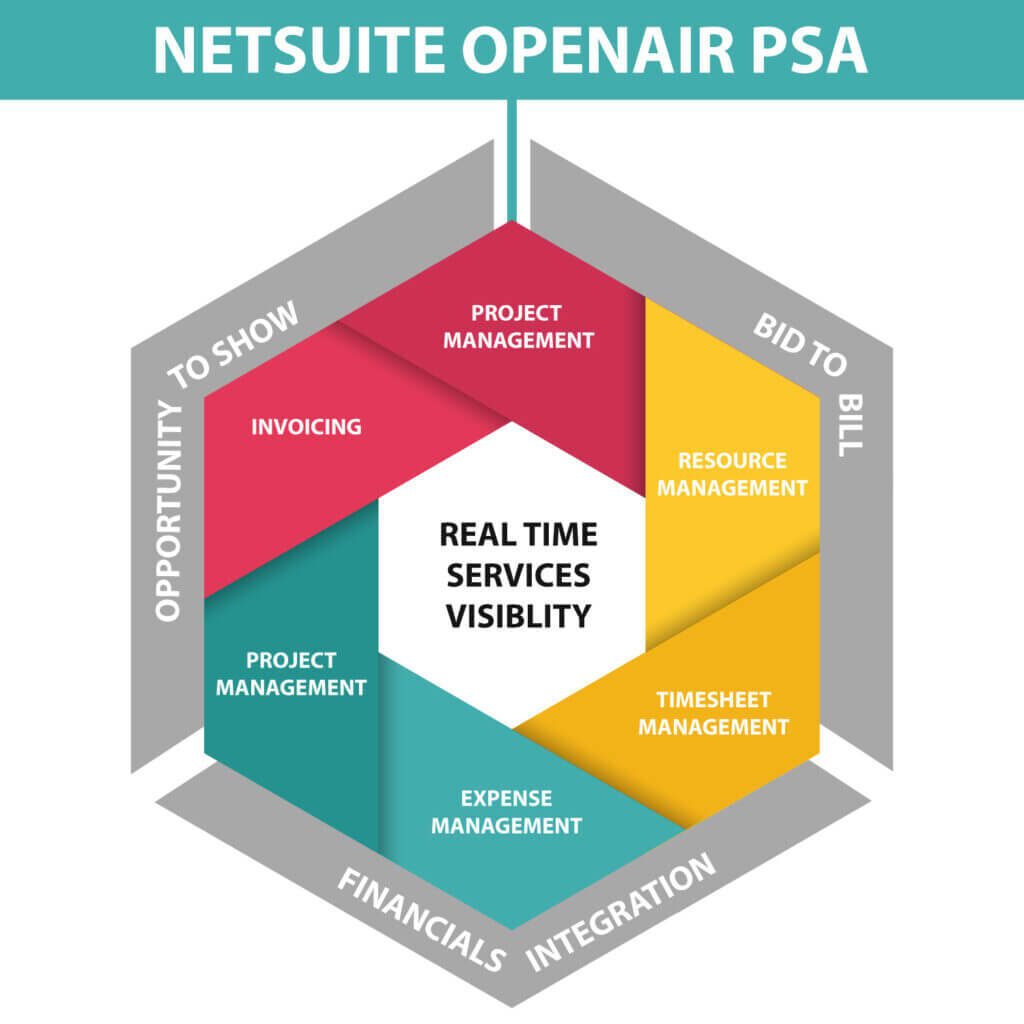 NetSuite OpenAir PSA Modules